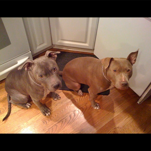 Hello Poshers!!! - Picture 2 of 4